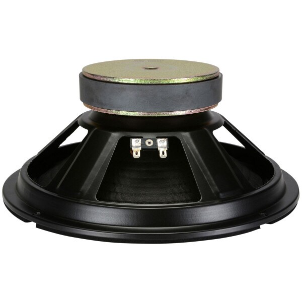 Main product image for Goldwood GW-1038/PA 10" Guitar Speaker 290-390